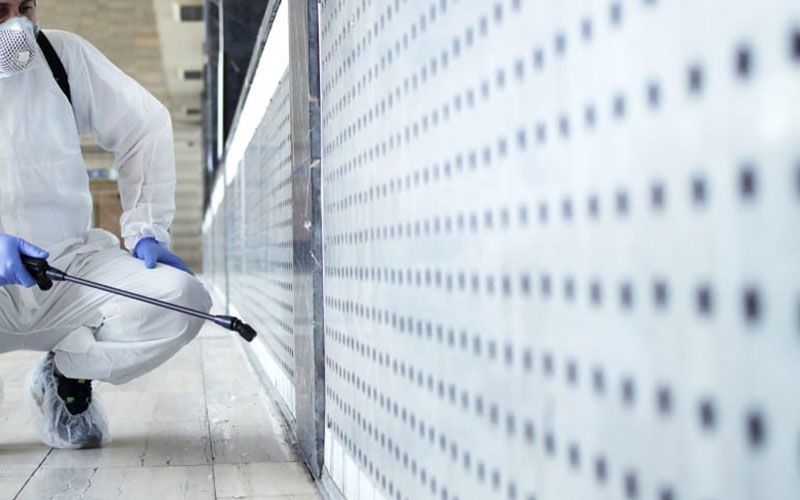 Fumigación de casas en Lima: ¿Cuánto cuesta?